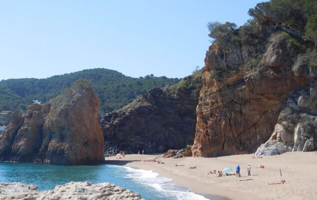 Melis III C2 - Photo 23