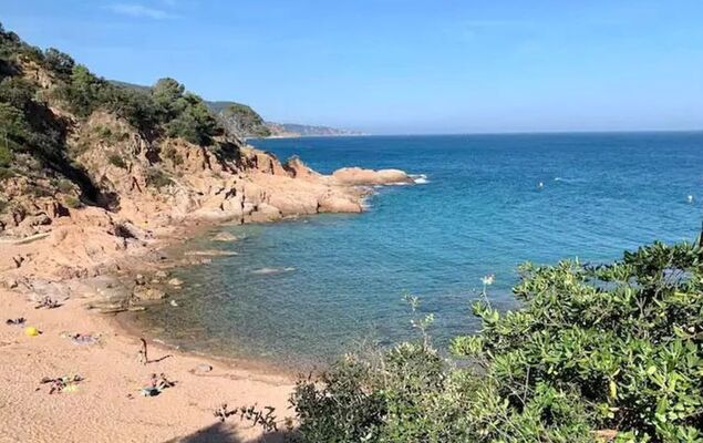 La Terraza - Photo 24